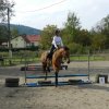 Babie Lato 2016